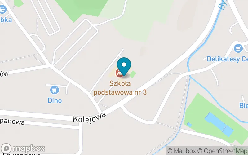 Lokalizacja: Szkoła Podstawowa nr 3