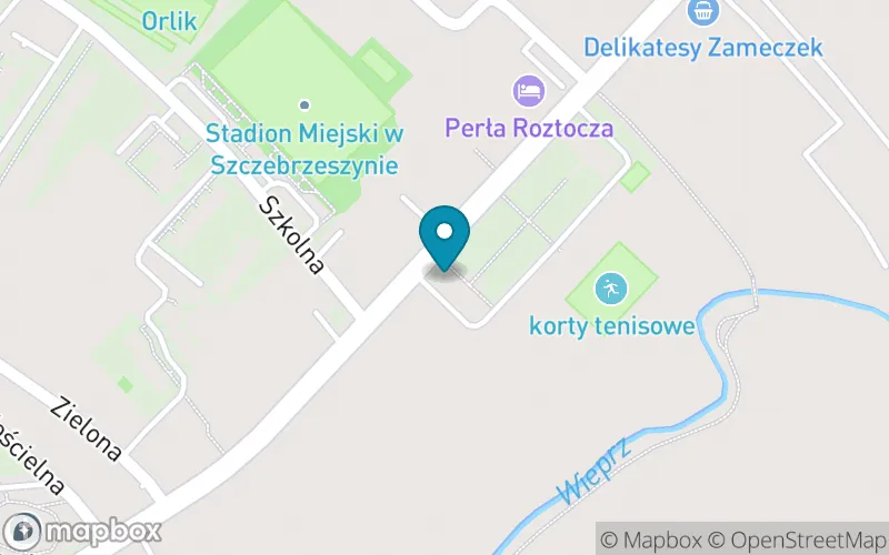Lokalizacja: Państwowa Szkoła Muzyczna i St. im. Karola Namysłowskiego w Szczebrzeszynie