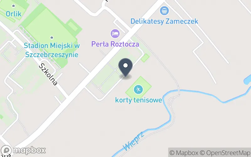 Lokalizacja: Zespół Szkół nr 2 im. Dr Z. Klukowskiego w Szczebrzeszynie