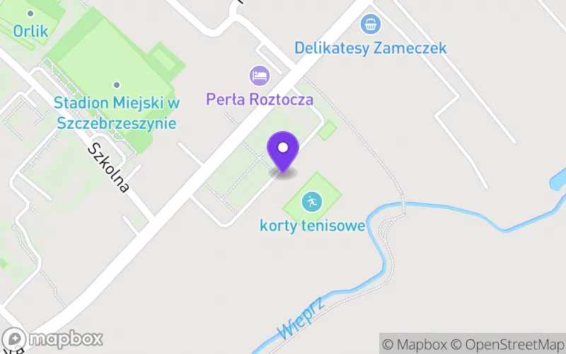 Lokalizacja: Liceum Ogólnokształcące im. Zamoyskich w Szczebrzeszynie w Zespole Szkół nr 2 im. Z. Klukowskiego w Szczebrzeszynie
