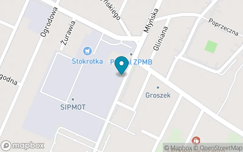 Lokalizacja: Szkoła Podstawowa Mistrzostwa Sportowego w Zamościu