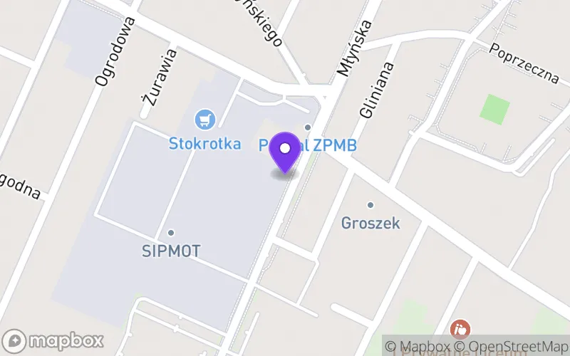 Lokalizacja: Liceum Ogólnokształcące Mistrzostwa Sportowego w Zamościu