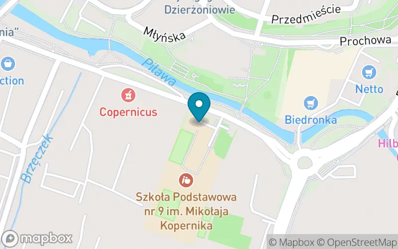 Lokalizacja: Szkoła Podstawowa nr 9 im. Mikołaja Kopernika w Dzierżoniowie