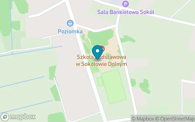 Lokalizacja: Szkoła Podstawowa w Sokołowie Dolnym