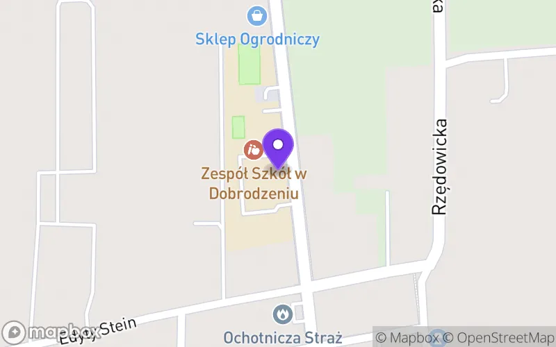 Lokalizacja: Technikum w Dobrodzieniu