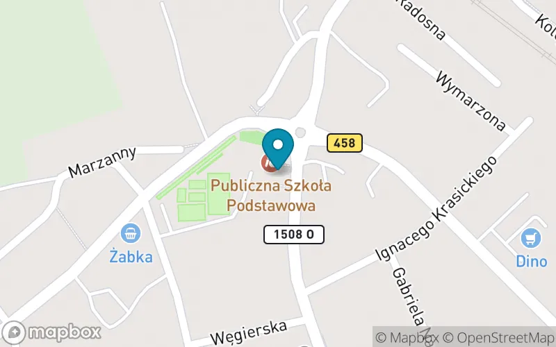 Lokalizacja: Publiczna Szkoła Podstawowa im. Mikołaja Kopernika w Lewinie Brzeskim