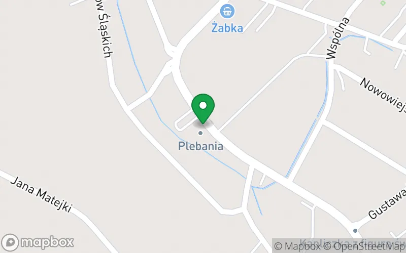 Lokalizacja: Niepubliczne Przedszkole "Pod Rozbrykanym Kucykiem"