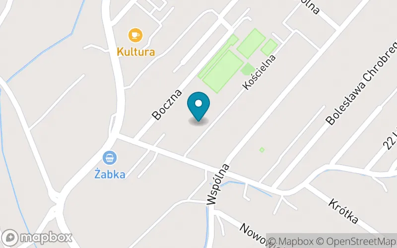 Lokalizacja: Publiczna Szkoła Podstawowa z Oddziałami Sportowymi w Dobrzeniu Wielkim