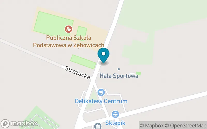 Lokalizacja: Publiczna Szkoła Podstawowa w Zębowicach