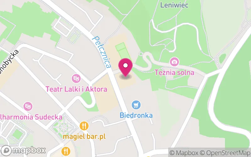 Lokalizacja: Uniwersytet Medyczny Imienia Piastów Śląskich we Wrocławiu- Filia Wałbrzych