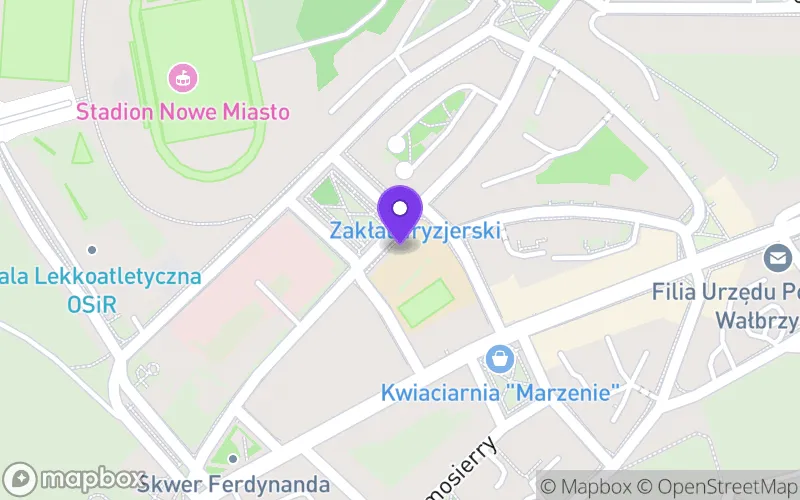 Lokalizacja: I Liceum Ogólnokształcące z Oddziałami Dwujęzycznymi im. Ignacego Paderewskiego