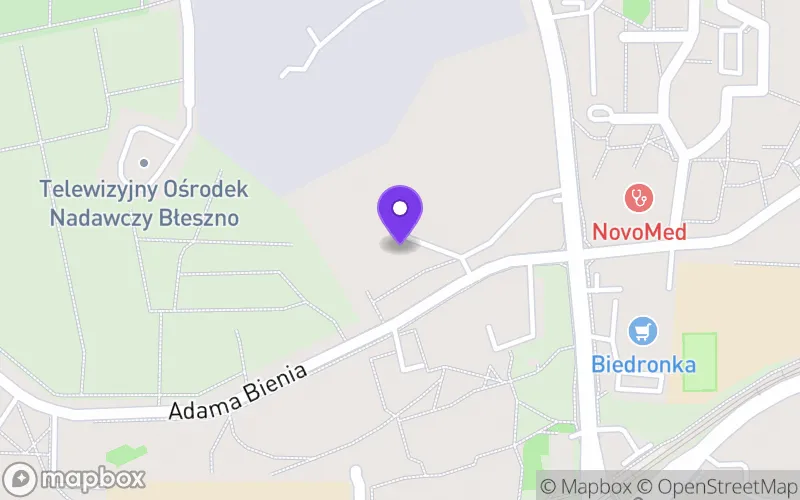 Lokalizacja: Katolickie Liceum Ogólnokształcące Specjalne Stowarzyszenia Przyjaciół Szkół Katolickich im. Św. Antoniego z Padwy w Częstochowie