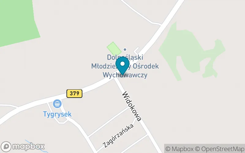 Lokalizacja: Szkoła Podstawowa Specjalna nr 33 w Dolnośląskim Młodzieżowym Ośrodku Wychowawczym im. Marii Grzegorzewskiej w Wałbrzychu