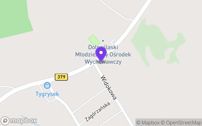 Lokalizacja: Branżowa Szkoła Specjalna I Stopnia w Dolnośląskim Młodzieżowym Ośrodku Wychowawczym im. Marii Grzegorzewskiej w Wałbrzychu