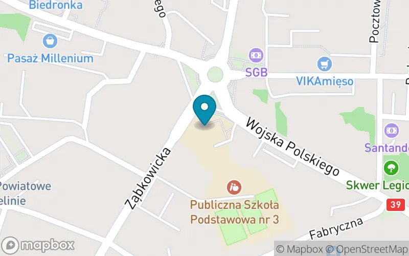 Lokalizacja: Publiczna Szkoła Podstawowa nr 3 im. Żołnierza Polskiego