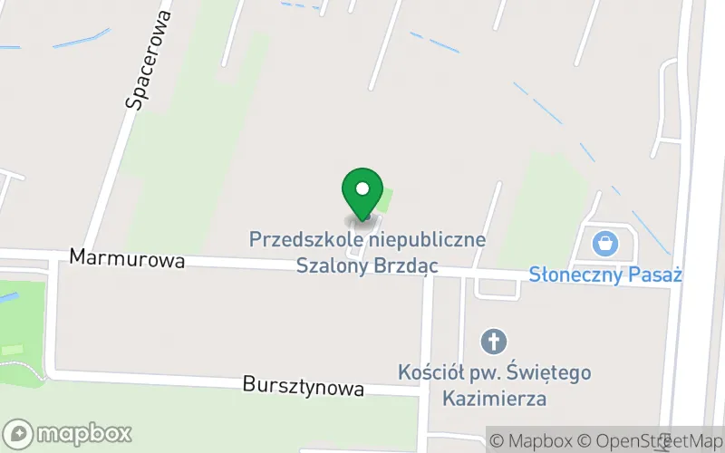 Lokalizacja: Niepubliczne Przedszkole „Szalony Brzdąc”