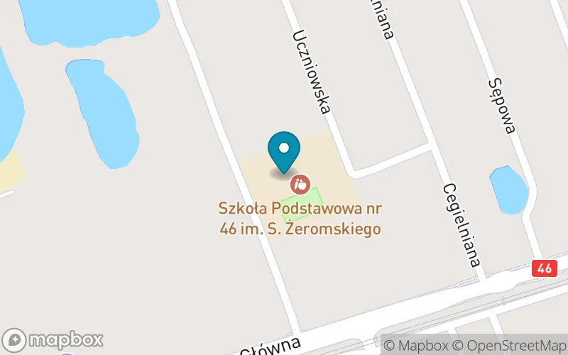 Lokalizacja: Szkoła Podstawowa nr 46 im. S. Żeromskiego