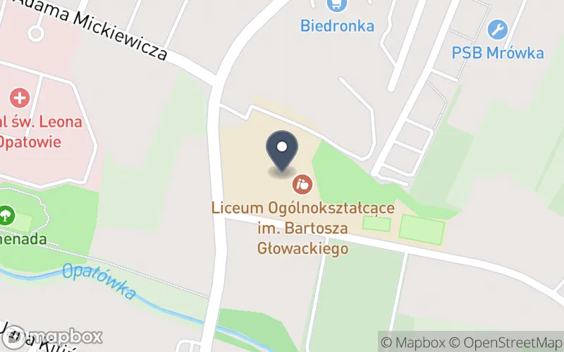 Lokalizacja: Zespół Szkół nr 2 w Opatowie