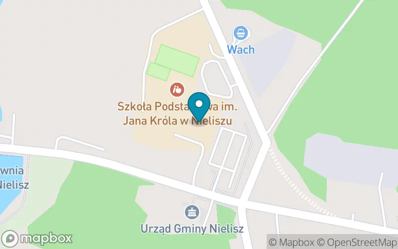 Lokalizacja: Szkoła Podstawowa im. Jana Króla w Nieliszu