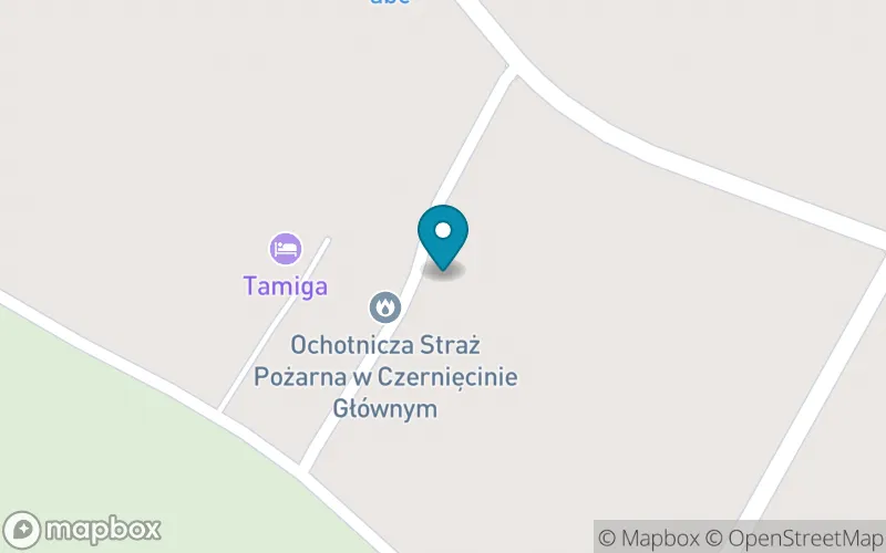 Lokalizacja: Szkoła Podstawowa im. Szymona Szymonowicza w Czernięcinie