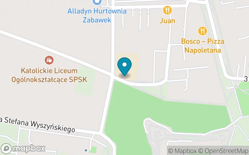 Lokalizacja: Niepubliczna Szkoła Podstawowa Specjalna im. O. Augustyna Kordeckiego w Częstochowie