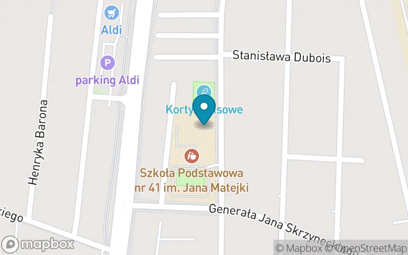 Lokalizacja: Szkoła Podstawowa nr 41 im. Jana Matejki