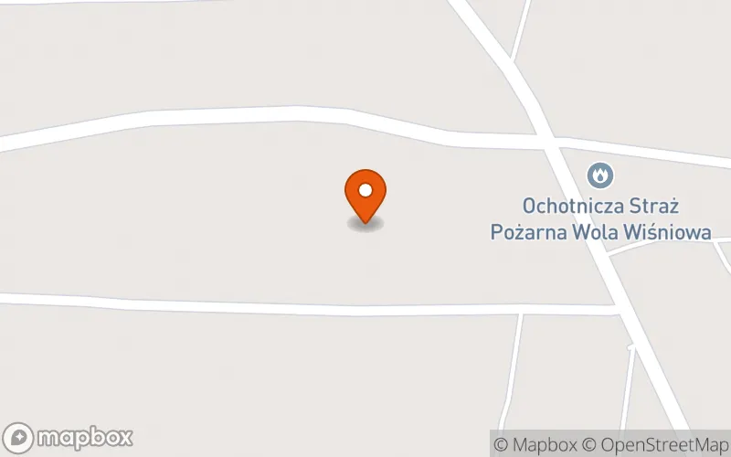 Lokalizacja: Klub Dziecięcy Kubuś Puchatek