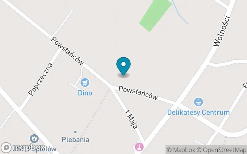 Lokalizacja: Publiczna Szkoła Podstawowa w Popielowie