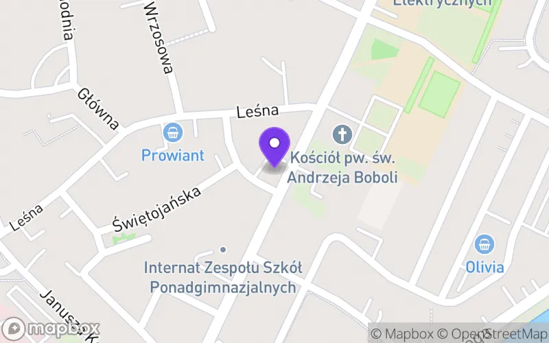 Lokalizacja: Branżowa Szkoła I Stopnia "Rzemieślnik" w Świdnicy