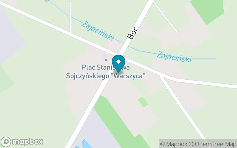 Lokalizacja: Publiczna Szkoła Podstawowa im. Adama Mickiewicza w Borze Zajacińskim