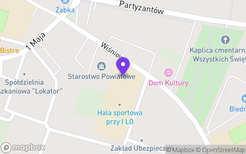 Lokalizacja: I Liceum Ogólnokształcące im. Gen. Władysława Sikorskiego we Włoszczowie