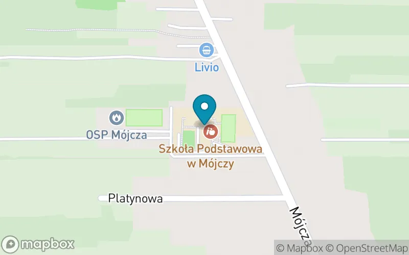 Lokalizacja: Szkoła Podstawowa im. Generała Tadeusza Buka w Mójczy