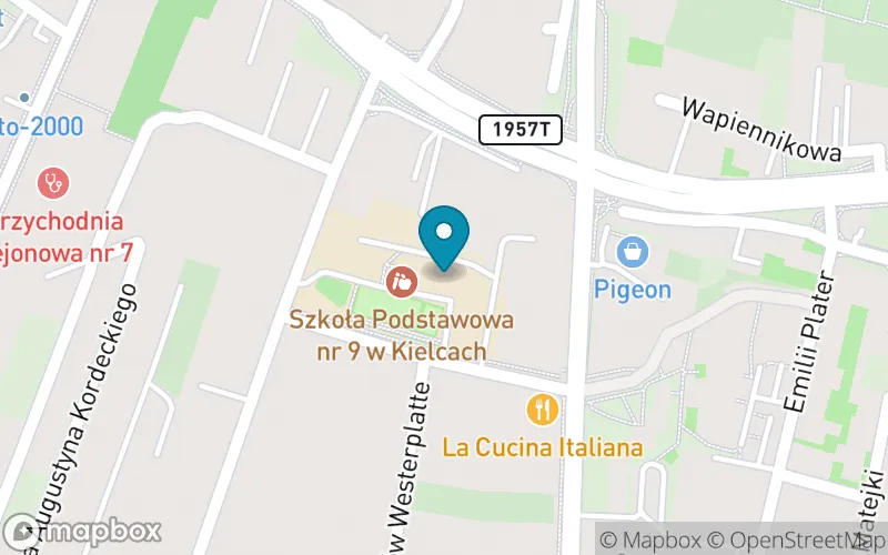 Lokalizacja: Szkoła Podstawowa nr 9 im. Adolfa Dygasińskiego w Kielcach