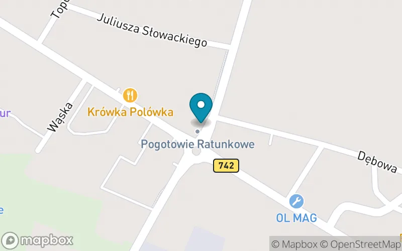 Lokalizacja: Niepubliczna Szkoła Podstawowa Specjalna "Kolorowa Skarpetka"