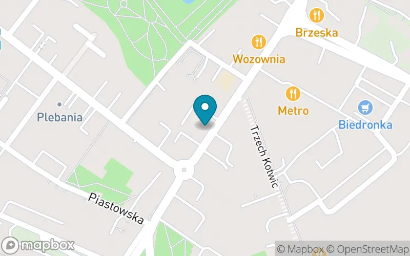 Lokalizacja: Państwowa Szkoła Muzyczna I Stopnia im. Józefa Elsnera w Brzegu