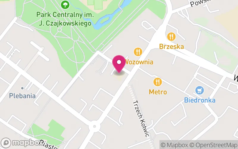 Lokalizacja: Wyższa Szkoła Humanistyczno-Ekonomiczna w Brzegu