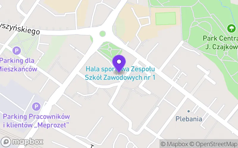Lokalizacja: I Liceum Ogólnokształcące im. Bolesława Chrobrego w Brzegu