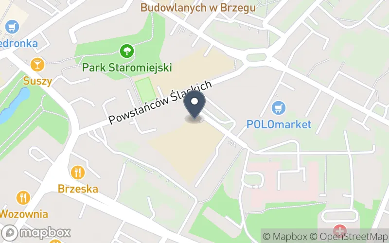 Lokalizacja: Zespół Szkół Specjalnych w Brzegu