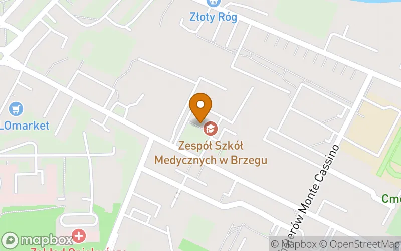 Lokalizacja: Wojewódzka Szkoła Polcealna Dzienna im. Hanny Chrzanowskiej w Brzegu