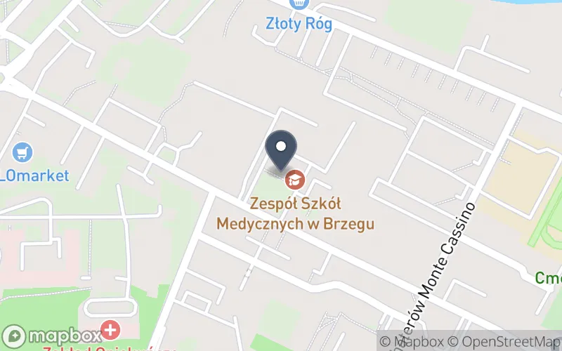 Lokalizacja: Zespół Szkół Medycznych w Brzegu