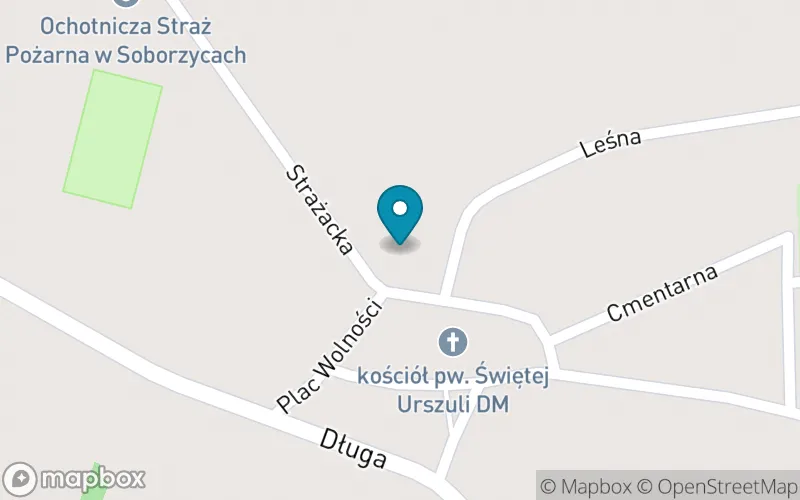 Lokalizacja: Niepubliczna Szkoła Podstawowa im. Marii Konopnickiej w Soborzycach