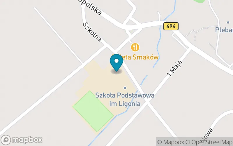 Lokalizacja: Szkoła Podstawowa im. St. Ligonia w Truskolasach