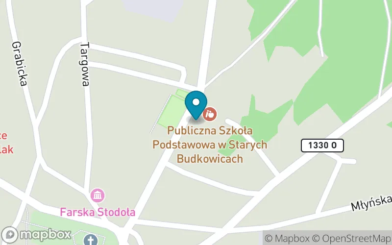 Lokalizacja: Publiczna Szkoła Podstawowa w Starych Budkowicach