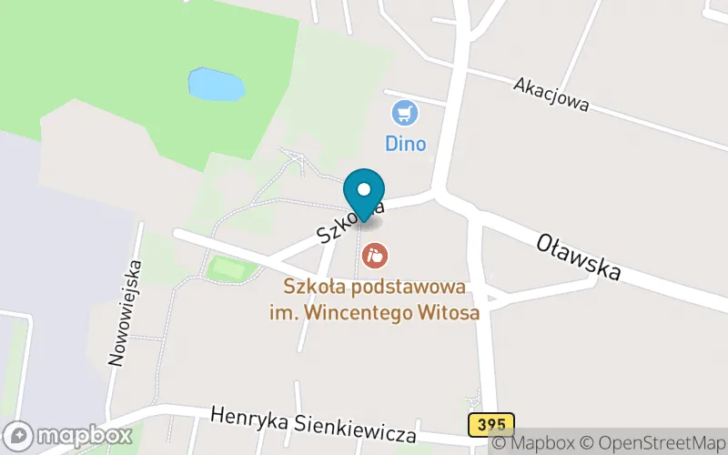 Lokalizacja: Publiczna Szkoła Podstawowa im. Wincentego Witosa w Borku Strzelińskim