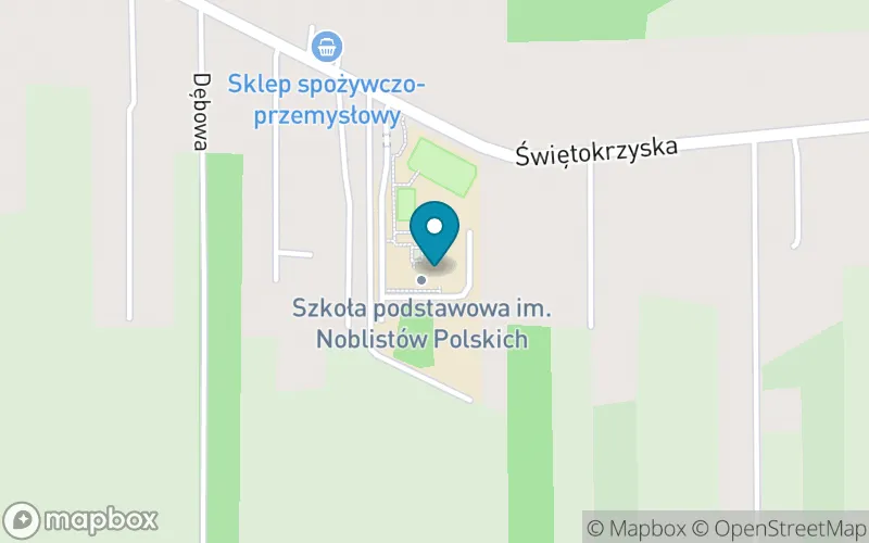 Lokalizacja: Szkoła Podstawowa im. Noblistów Polskich w Leszczynach