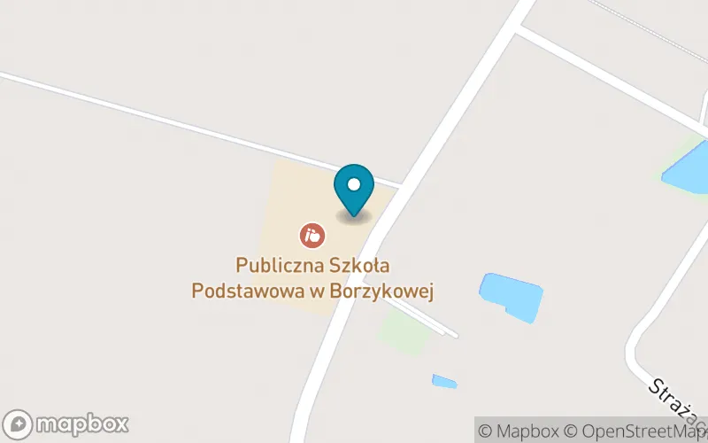 Lokalizacja: Publiczna Szkoła Podstawowa w Borzykowej