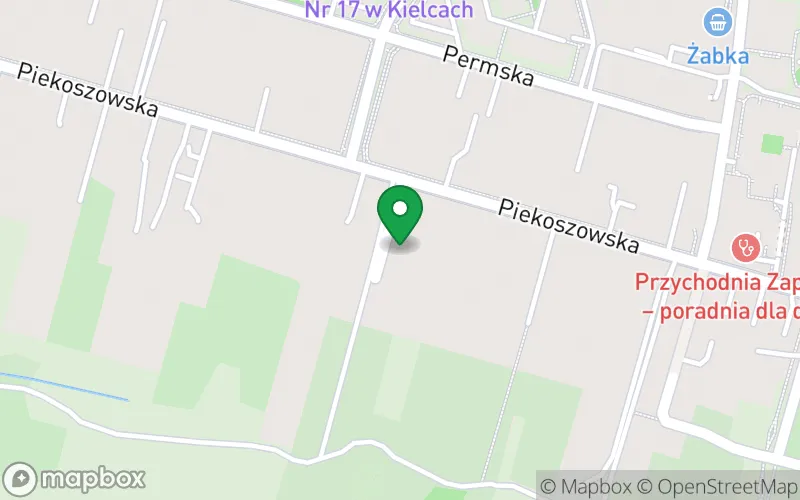 Lokalizacja: Niepubliczne Przedszkole Specjalne im. Marii Grzegorzewskiej w Kielcach