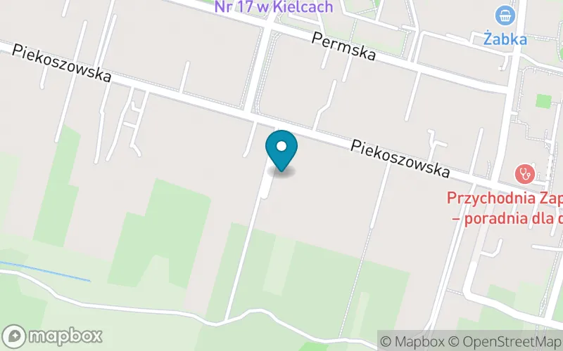Lokalizacja: Niepubliczna Szkoła Podstawowa Specjalna im. Marii Grzegorzewskiej w Kielcach