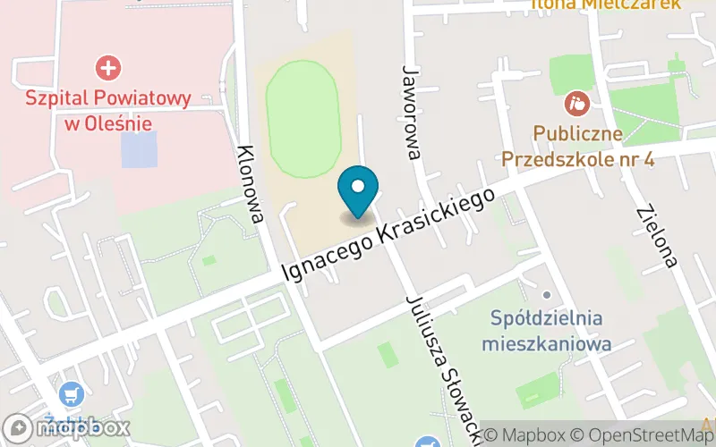 Lokalizacja: Publiczna Szkoła Podstawowa nr 3 im. Powstańców Śląskich w Oleśnie