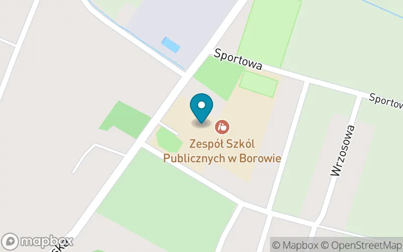 Lokalizacja: Publiczna Szkoła Podstawowa im. Macieja Rataja w Borowie